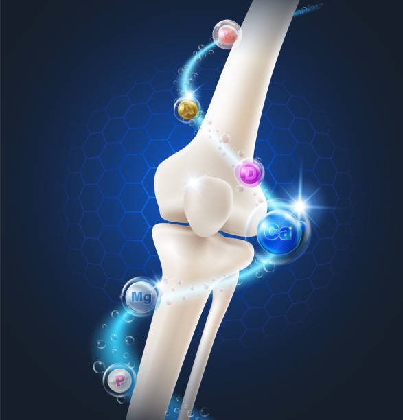 ilustrações de stock, clip art, desenhos animados e ícones de nutrients for bone health - osso humano