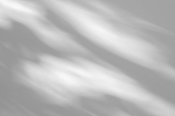 istock Studio style background wall decoration presentation uses white tones. with shadows cast from a nearby window, concept creating a decorative backdrop. 2169820048