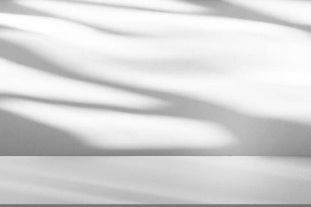 istock Studio style background wall decoration presentation uses white tones. with shadows cast from a nearby window, concept creating a decorative backdrop. 2169820083