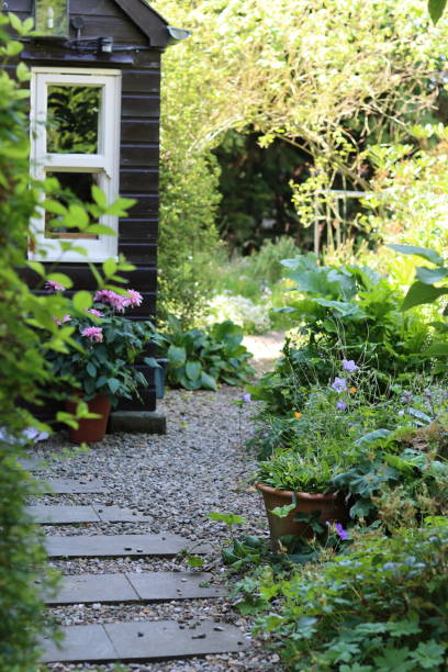 istock Garden path surrounded by flower beds in summer 2169823366