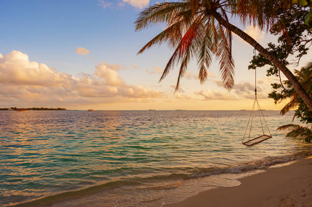 istock Maldivian tropical paradise beach during the sunset 2169823501