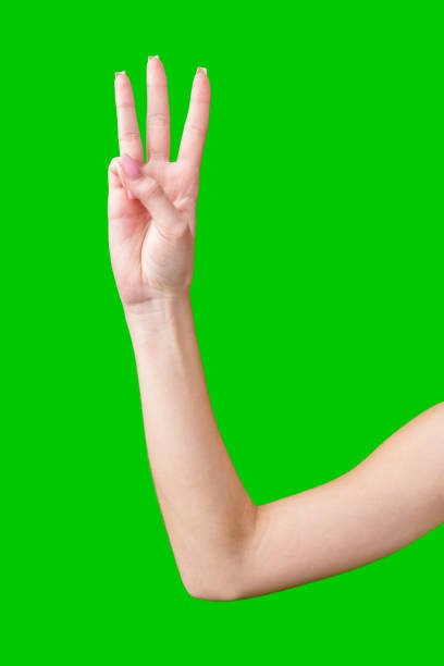 istock Woman's Hand Showing Number Against Green Screen 2169824616