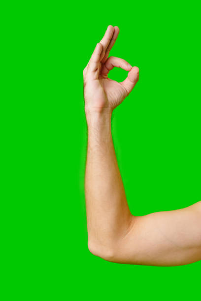 istock Hand Gesture Signifying Approval Against Bright Green Background 2169825390