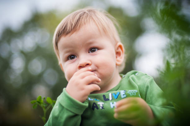 istock A curious toddler explores nature while savoring a snack in a lush green garden during a sunny afternoon 2169826217