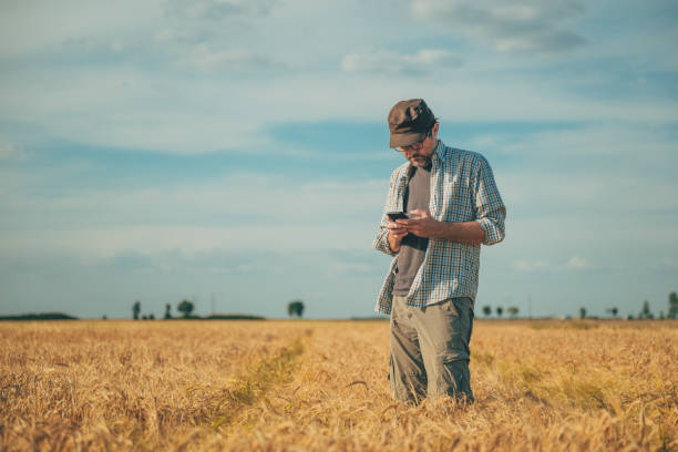 istock Farm worker using smartphone in ripe wheat field 2169826730