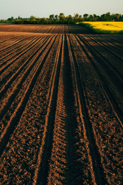 istock Seedbed preparation, agricultural field soil is ready for sowing season 2169826804