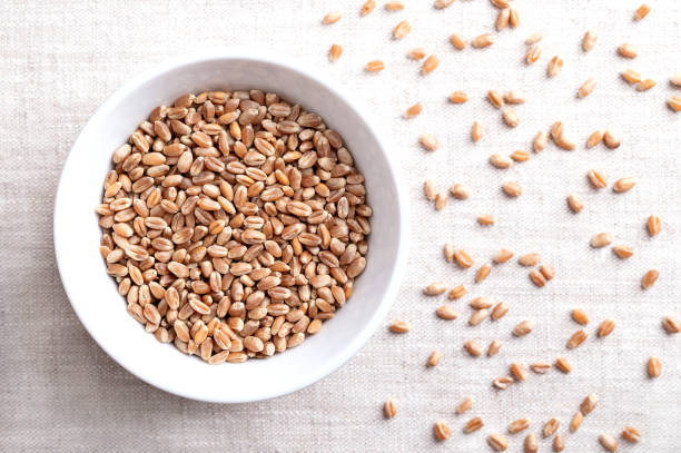 istock Common wheat kernels, bread wheat in a white bowl on linen fabric 2169827299