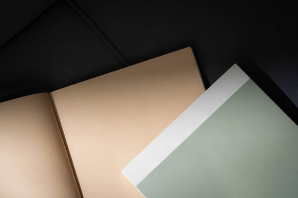 istock Stack of Magazines on a Black Leather Couch in Soft Light 2169827465