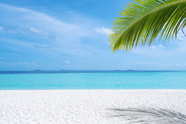 Tropical paradise beach scene for background or wallpaper