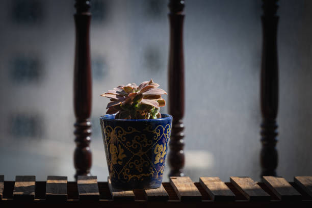 Balcony guardrail background, succulents in the sun