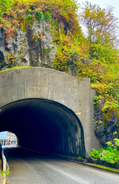 istock Ketchikan, Alaska 2169830040
