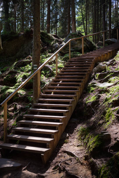 istock Staircase Leading Up a Forest Hill 2169832589