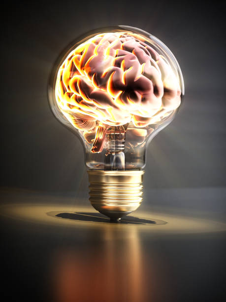 istock A brain encased in a light bulb symbolizes innovative ideas and creativity in a striking visual representation 2169832639