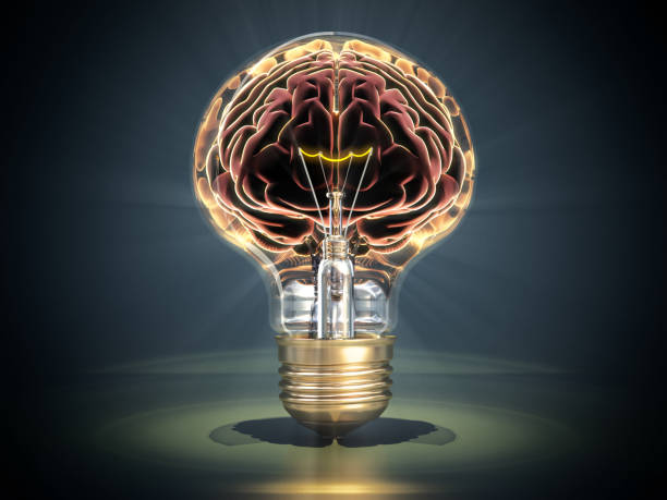 istock A brain encased in a light bulb symbolizes innovative ideas and creativity in a striking visual representation 2169832654