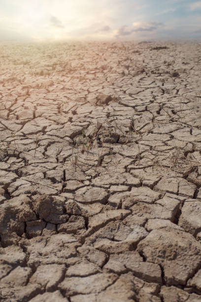 istock Abstract textures in a cracked mudflat and sky cloud horizon 2169835625