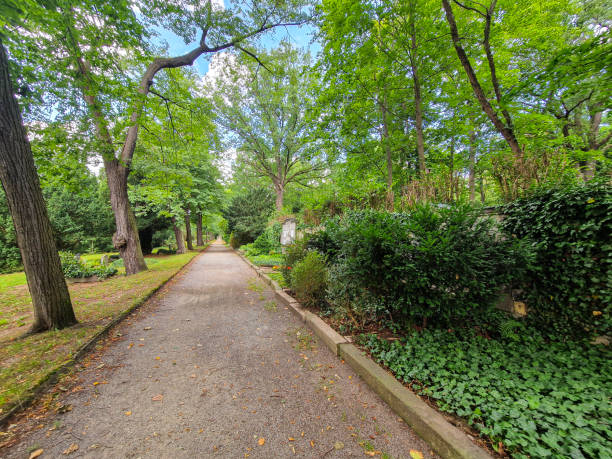 istock Old Historic Cemetery in Dresden, Germany 2169840182