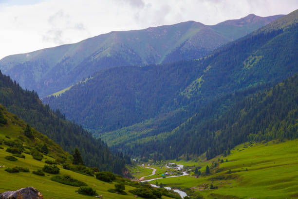 Beautiful green country with foressta and trees with white clouds in the sky. View from hill Zniev in Slovakia