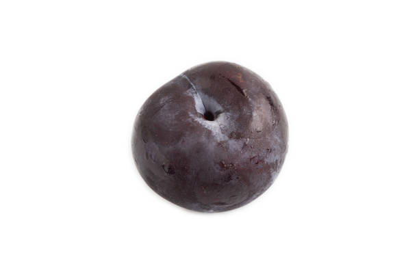 Purple Plum isolated on white background. Side view, copy space. healthy food, vegetable, minimalism.