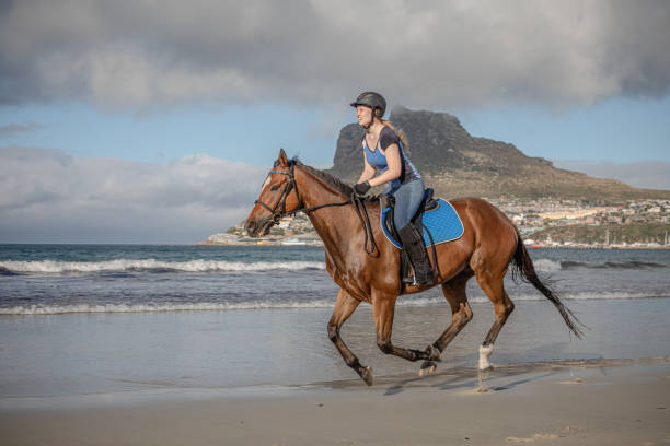Young woman cantering her bay horse through the waves on the beach on a partly cloudy day