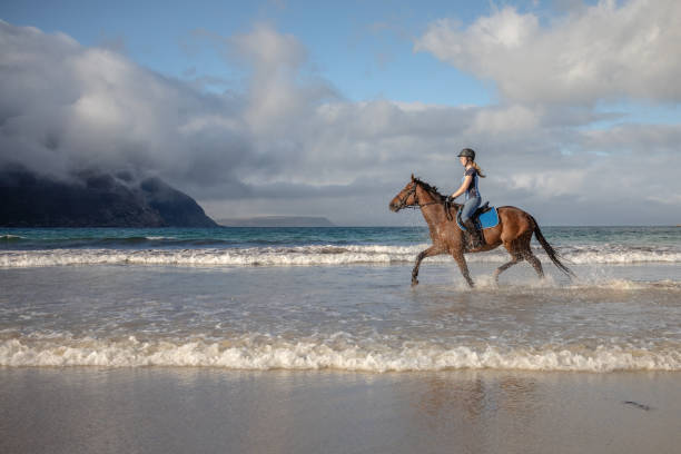 istock Young woman on horseback trotting through the waves on the beach 2169844310