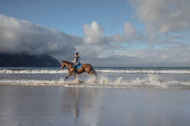 istock Young woman cantering her horse on the beach 2169844461