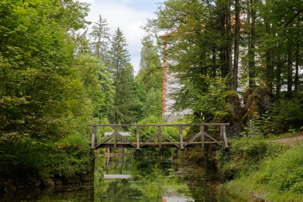 istock Wooden Bridge in Castle Sneznik Park 2169844817