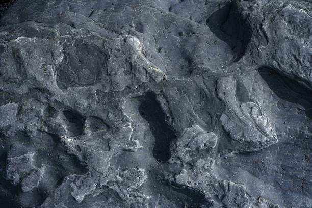 Cross section of rock backgrounds