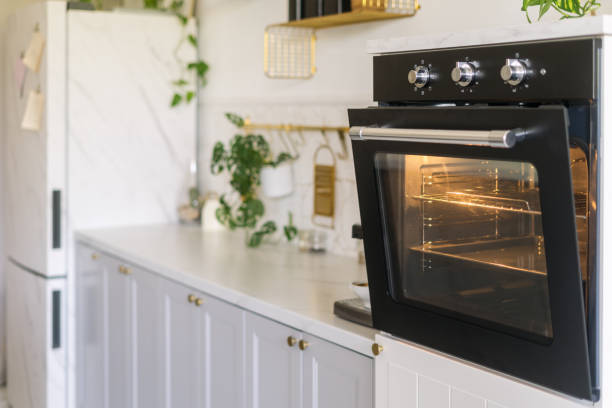 Modern kitchen with an oven and stylish decor featuring plants and organized shelving