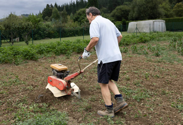 istock Man operating tiller in a vegetable garden 2169851829