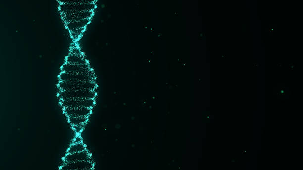 istock Abstract moving DNA wave with dots and lines. Concept network connection system data. Music sound background. Genetic biotechnology and artificial intelligence. 3D rendering. 2169852482