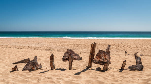 Ethel Wreck Beach on a bright day, South Australia