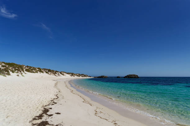 istock Rottnest Island, Australia 2169855043
