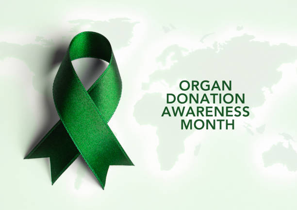 istock Organ Donation Awareness Month 2169855081