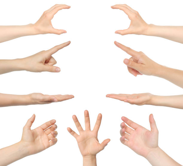 istock Set of Hands with different gestures, isolated on transparent background 2169857132