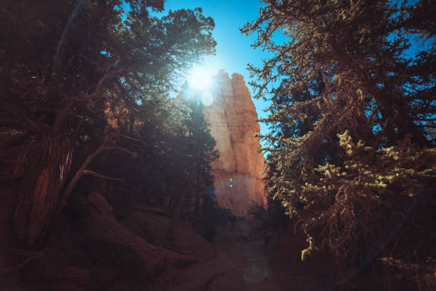 Majestic landscapes of the Bryce Canyon National Park. Hiking during a hot and dry summer day in the Walls Street trail and Navajo loop trail