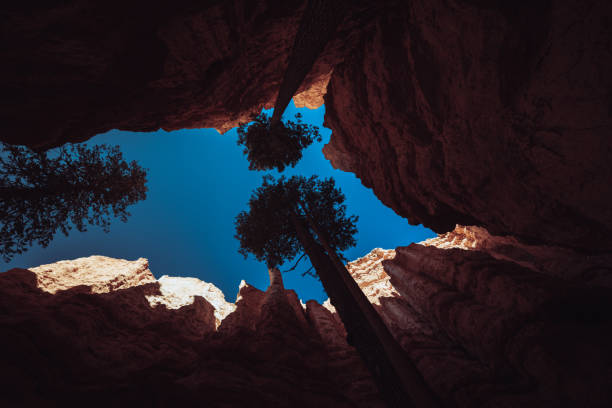 Majestic landscapes of the Bryce Canyon National Park. Hiking during a hot and dry summer day in the Walls Street trail and Navajo loop trail