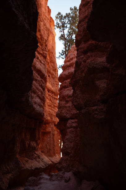 istock Hiking in Bryce Canyon National Park 2169860934