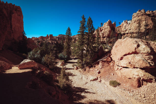 istock Hiking in Bryce Canyon National Park 2169861300