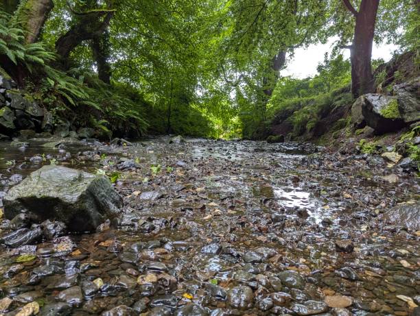 istock Shallow stoney river bed surrounded by trees 2169862252