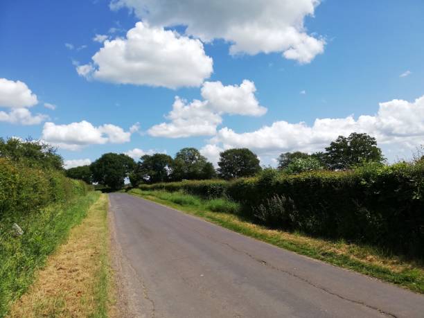 istock Country back road with bushes and trees and white fluffy clouds 2169862518