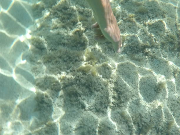 istock Snorkeling in the Mediterranean 2169863280