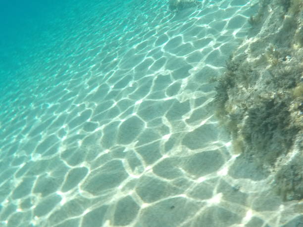 istock Snorkeling in the Mediterranean 2169863313