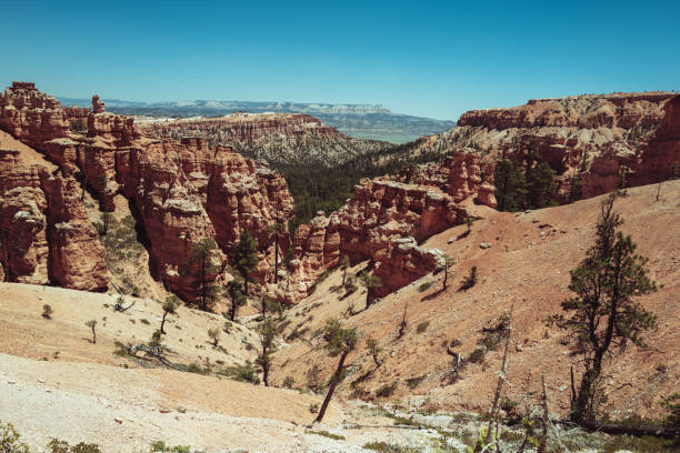 istock Landscapes in Bryce Canyon National Park 2169864417