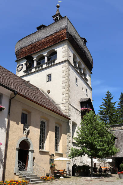 istock Martinsturm in Bregenz, Austria on Lake Constance 2169865229