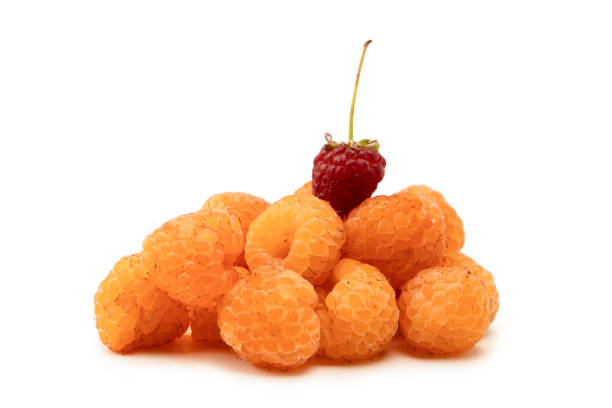 istock Tasty fresh raspberry isolated on a white background. Top view. 2169865357