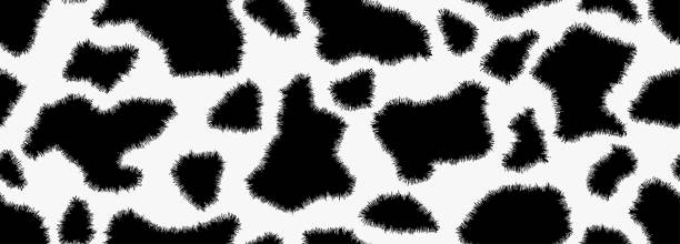 textur aus kuhhaut, nahtloses muster. - fell stock-grafiken, -clipart, -cartoons und -symbole