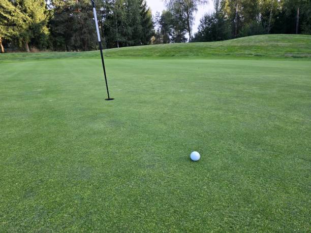 istock golf course with a green area, a hole, and a flagstick, surrounded by trees under a clear sky. 2169869607