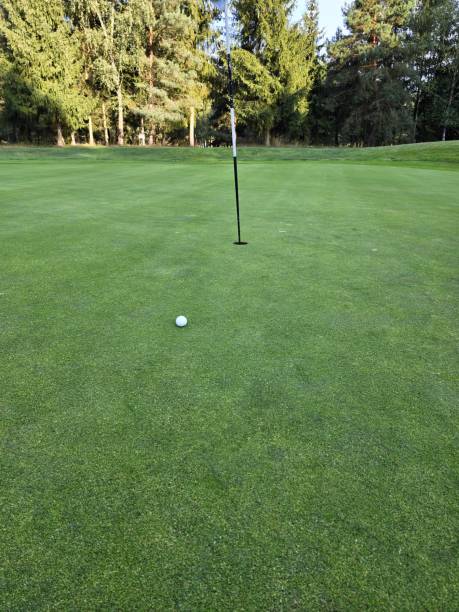 istock golf course with a green area, a hole, and a flagstick, surrounded by trees under a clear sky. 2169869631
