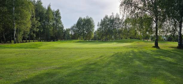 istock golf course with a green area, a hole, and a flagstick, surrounded by trees under a clear sky. 2169870689