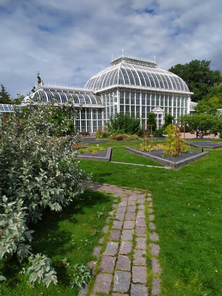 istock Kaisaniemi Botanic Garden 2169874645